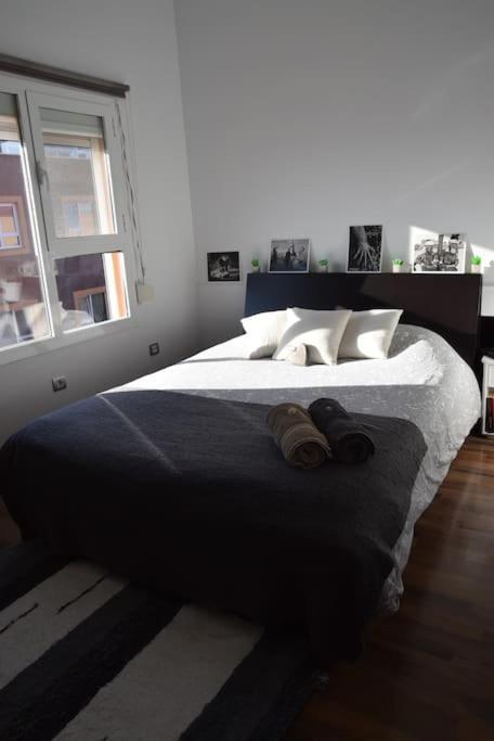 Appartement Chic&surf Dunes View Lumineux Et Vue Superbe !