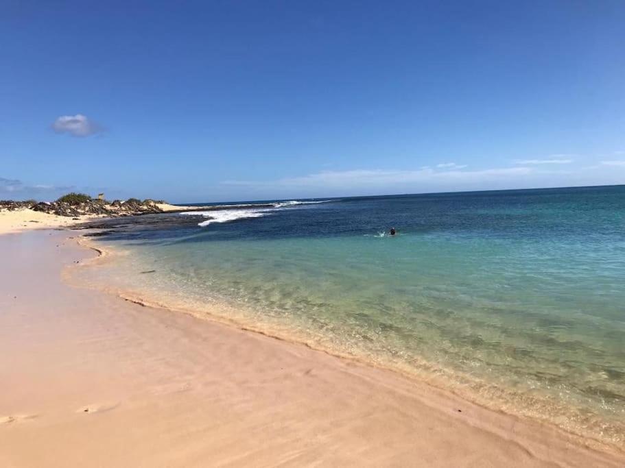 Appartement Chic&surf Dunes View Lumineux Et Vue Superbe !